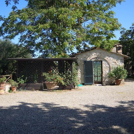 Ferienwohnung Fontemaggio Colle di Val d'Elsa Exterior foto