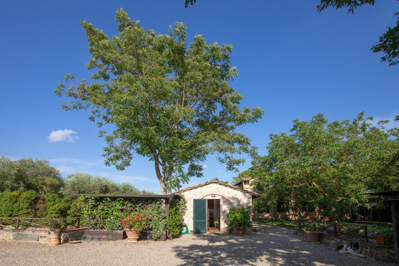 Ferienwohnung Fontemaggio Colle di Val d'Elsa Exterior foto